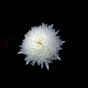 08天堂来信 伴奏