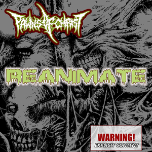 Reanimate