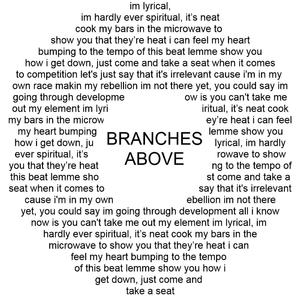 branches above