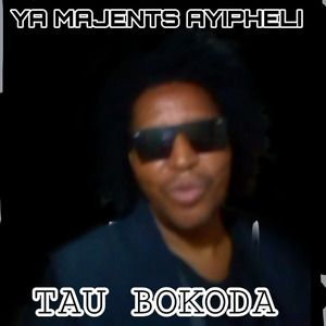 Eyamajents Ayipheli