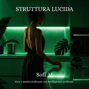 Struttura lucida