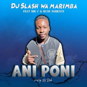 Ani Poni (feat. Big C & Russ Nghenus)