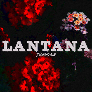 Lantana
