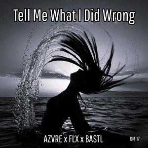 Tell Me What I Did Wrong