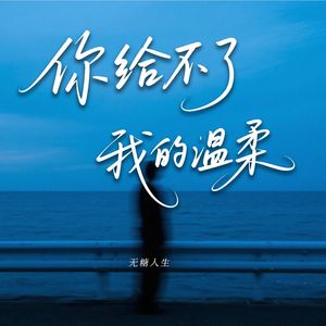 你给不了我的温柔（伴奏）