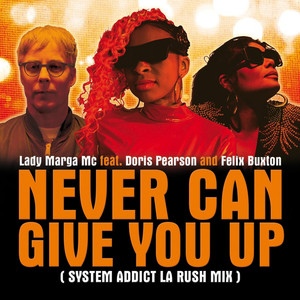 Never Can Give You Up (System Addict LA Rush Mix)