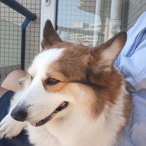 The Other Side of Paradise.wav