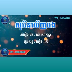 សុបិនឃើញបង ភ្លេងសុទ្ធ ស្រី