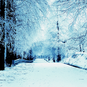 下雪了