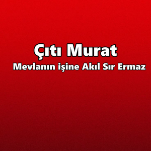 Mevlanın işine Akıl Sır Ermaz