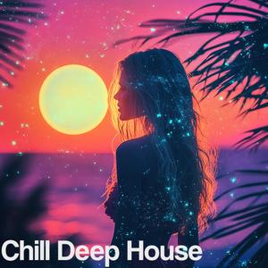 Lofi House