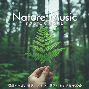 超熟睡ギターメディテーション 癒しの音楽・眠れる曲 リラックスと安眠のための睡眠導入音楽 (自律神経を整える睡眠用 森 鳥)