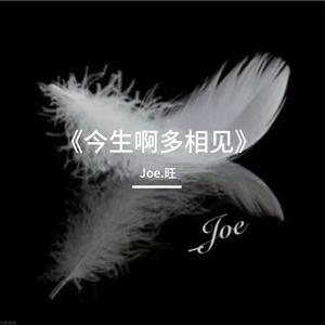 《今生啊多相见》