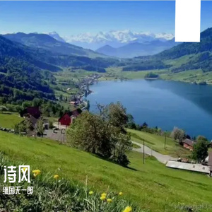 清风拂柳