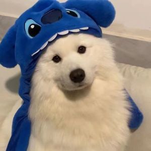 再见深海Cover唐汉霄