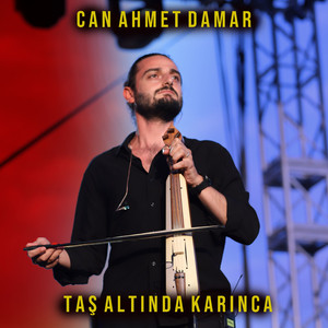Taş Altında Karınca