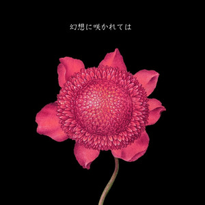 幻想に咲かれては