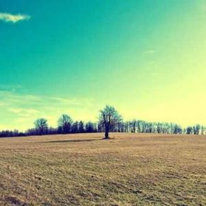 江山万里不及你DJ