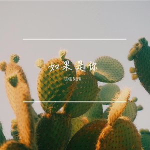 如果是你（PROD.MEECRO）