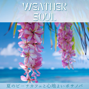 Driftwood Dreams Tune