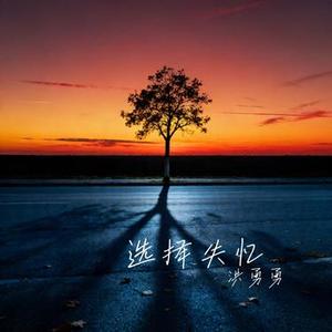 选择失忆 (Cover 季彦霖)