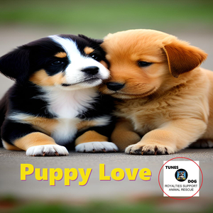 Pupstars