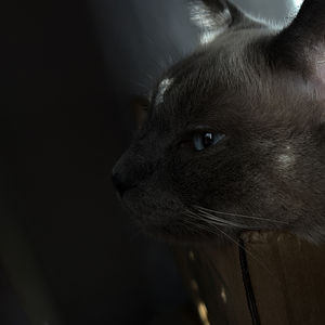 儿时的梦（ A 版）