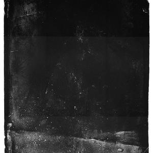 Oaks Alight in Black Fire