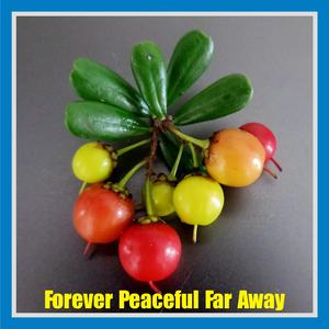 Forever Peaceful Far Away