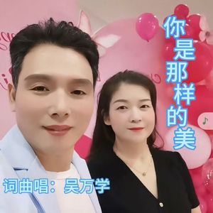 你是那样的美 伴奏