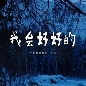 我会好好的  (我要你默默走不回头) (Cover 王心凌)