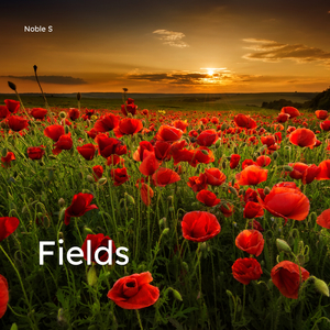 Fields