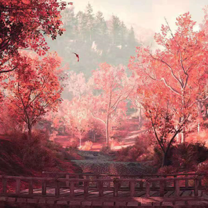 新阳光下的诺言