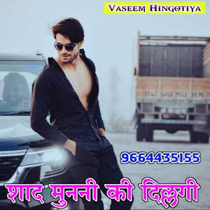 Shad Munni Ki Dillagi