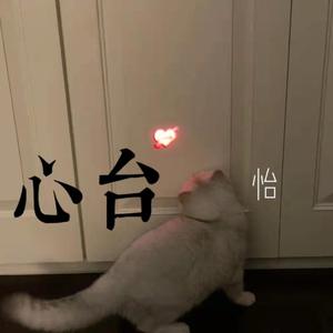 到此为止 (抖音男版)