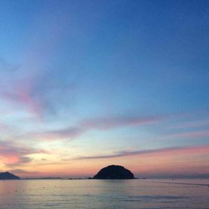 song of the sea（海洋之歌）