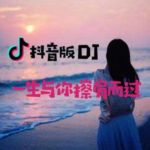 一生与你擦肩而过（抖音DJ版）