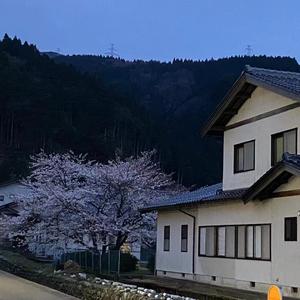 我陪你看星星（Prod By RoyalBoi）