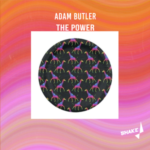 The Power (Original Mix)