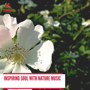 Unmitigated Rainfall Melody