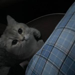 就算你不是主角(Prod by Sun Beat）