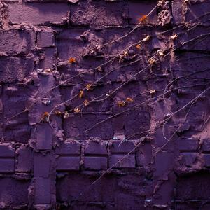 "חומות נמסו"