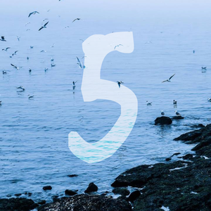 秘密（女声版）（翻自 张震岳）