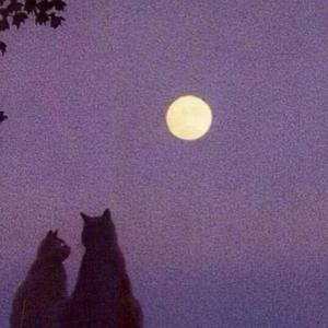 墨丘利Mercury(prod.YellowBoy)