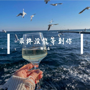 最终没能等到你
