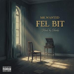 Fel bit (feat. shooka)