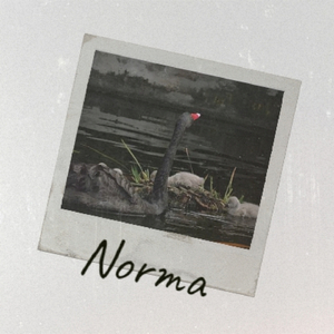 Norma
