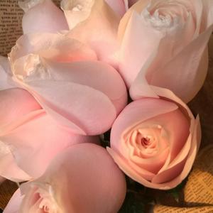 外婆桥（Cover 初音ミク）