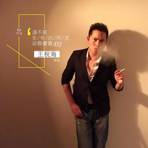 王祝海 / 王祝海-请不要在他的怀里说你爱我