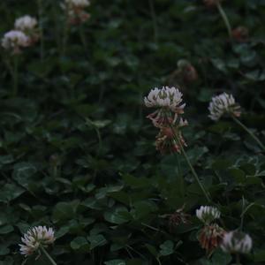 世界与你环环相扣（翻自:柏松）